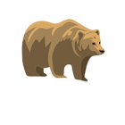 golden bares